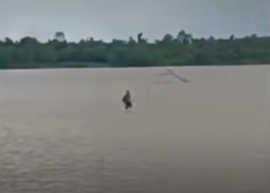 Footage of Human Sighting Walking on Circulating Water Without Editing